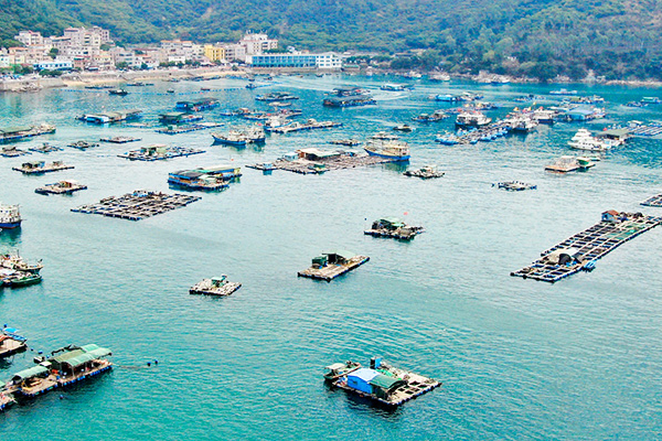 海鲜养殖领域